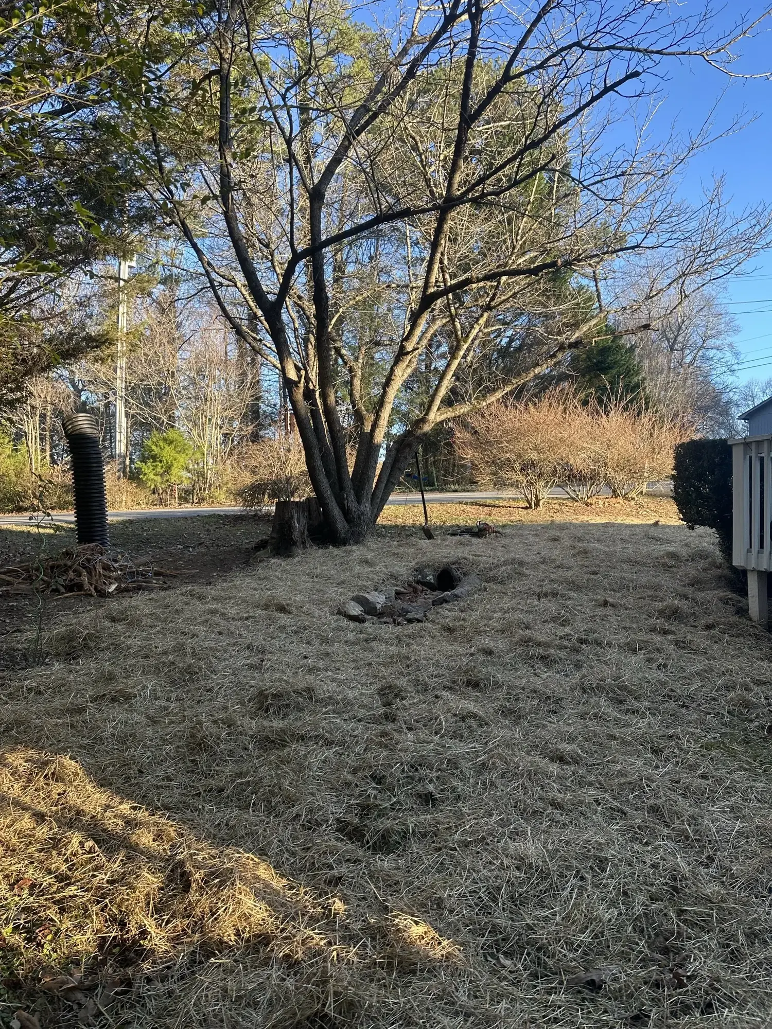 Cabin Demo + Site Reset